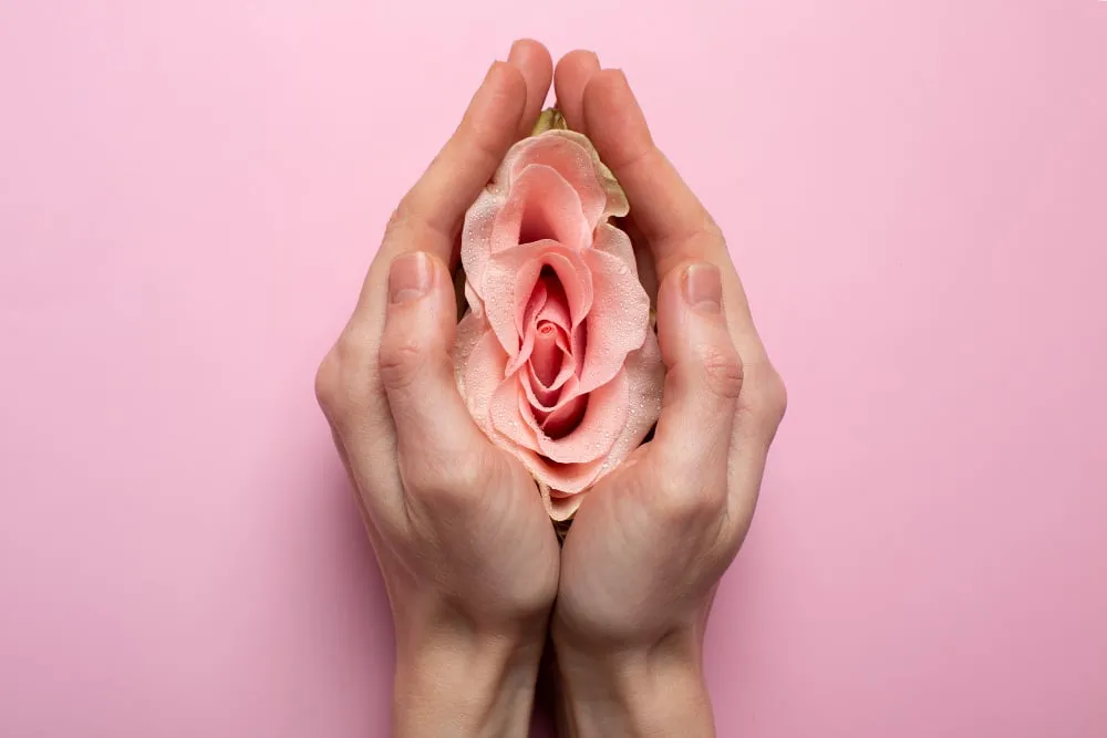 Manos sosteniendo una flor sobre fondo rosa